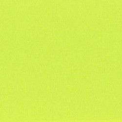 Tissu patchwork MICHAEL MILLER SC5333-LIMD-D : Cotton couture lime / 25 cm