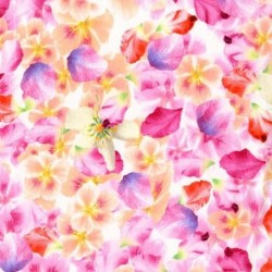 Tissu patchwork MICHAEL MILLER CX5993-PETA-D : Petal path- Coupon 50 x 55 cm