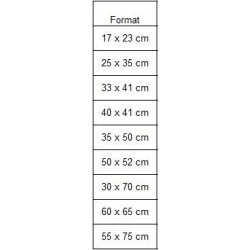 Opaque envelope polyethylene 80µ - 17x23 cm