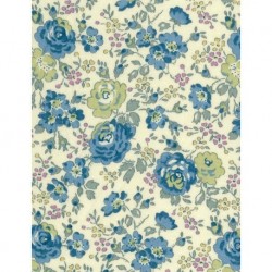Biais LIBERTY® motif Felicite bleu 1081B / 1 m
