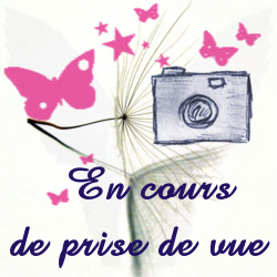 Fil à coudre polyester toutextile – Bobine 1 000 m / COATS ASTRA 120 Fluo Rose